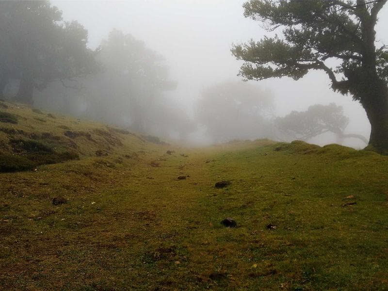 Penyiapan Lahan Kawasan Perumahan